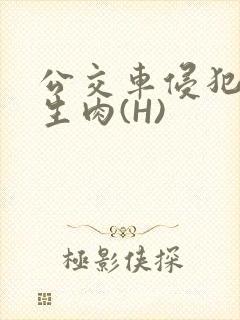 公交车侵犯小男生肉(H)