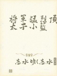 将军猛烈顶弄h太子小蓝