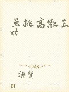 单挑高傲王子txt