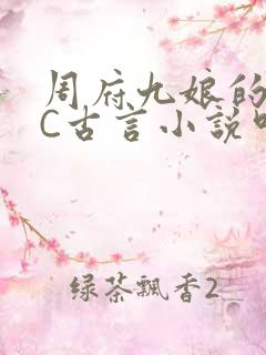 周府九娘的NPC古言小说叫什么