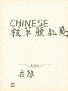 CHINESE校草腹肌飞机视频