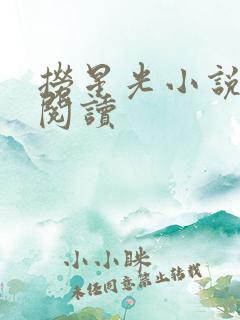 捞星光小说免费阅读