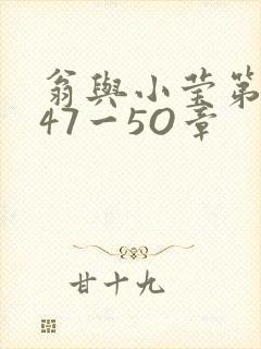 翁与小莹第十部47一5O章