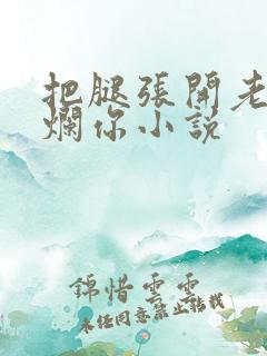 把腿张开老子臊烂你小说