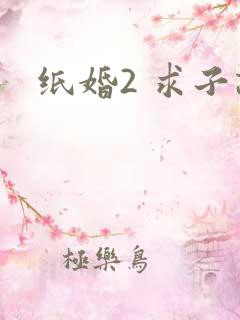 纸婚2 求子记