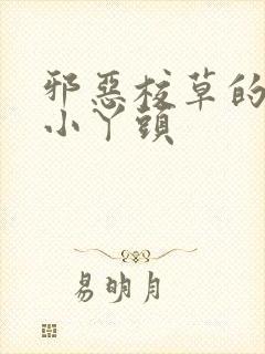 邪恶校草的拽拽小丫头