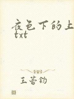 夜色下的上海滩 txt