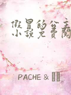 假冒的公主大人小说免费阅读