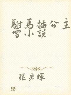 驸马插公主恋战雪小说