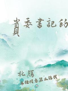 省委书记的小宝贝