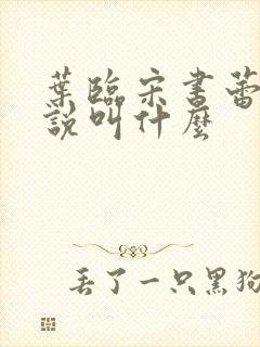 叶临宋书蕾的小说叫什么