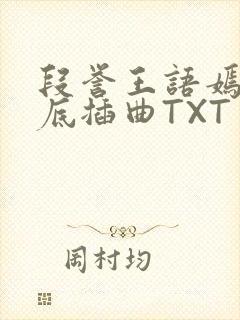 段誉王语嫣在井底插曲TXT