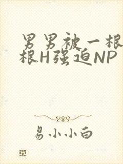 男男被一根又一根H强迫NP