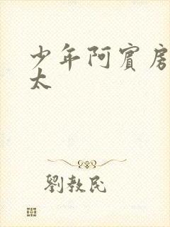 少年阿宾房东太太