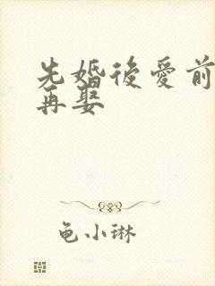 先婚后爱前妻难再娶