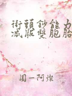 街头钞能力无删减版双胞胎