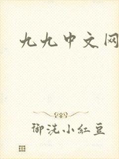 九九中文网
