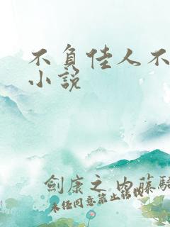 不负佳人不负卿小说