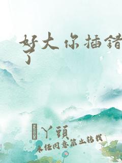 好大你插错地方了