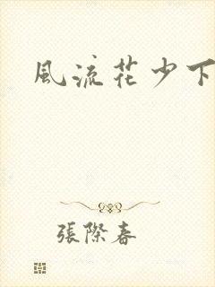 风流花少下载