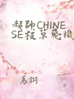 超帅CHINESE校草飞机BLUE