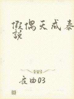 假偶天成泰国小说