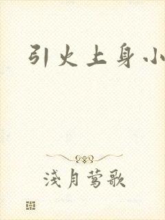 引火上身小说