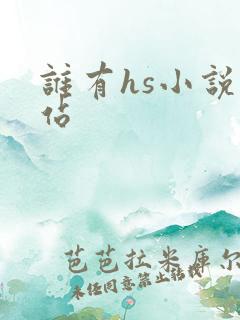 谁有hs小说网站