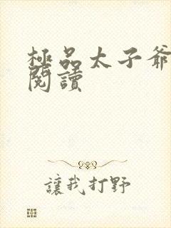 极品太子爷全文阅读