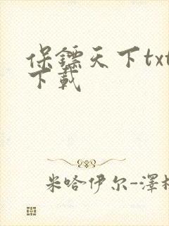 保镖天下txt下载