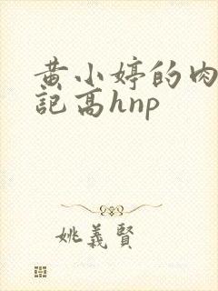 黄小婷的肉欲日记高hnp