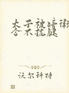 太子被暗卫c到合不拢腿