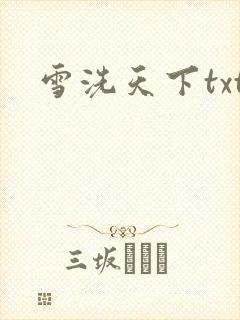雪洗天下txt