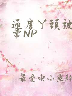 通房丫头被肉日常NP