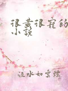 很黄很宠的总裁小说