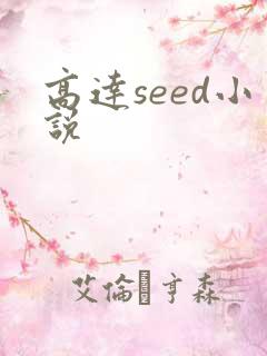 高达seed小说