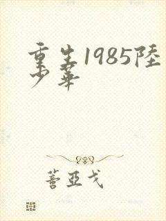 重生1985陆少华
