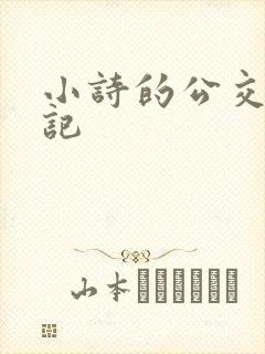 小诗的公交车日记