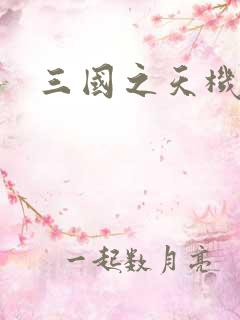 三国之天机军师