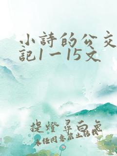 小诗的公交车日记1一15文