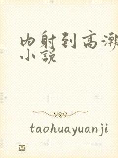 内射到高潮的H小说