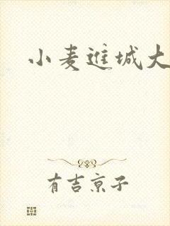 小麦进城大结局