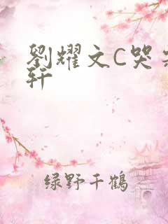 刘耀文C哭宋亚轩