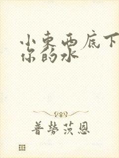 小东西底下都是你的水