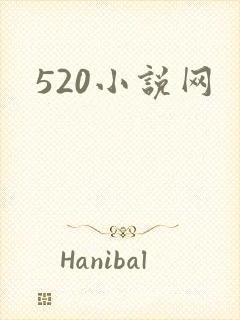 520小说网