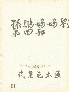 孙鹏妈妈刘淑英第四部