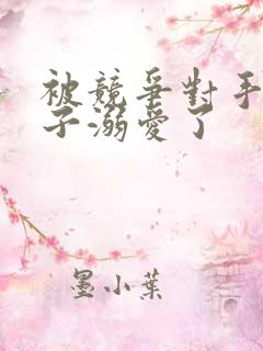 被竞争对手的王子溺爱了