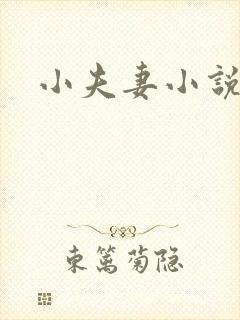 小夫妻小说