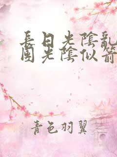 长日光阴乱作一团光阴似箭教主