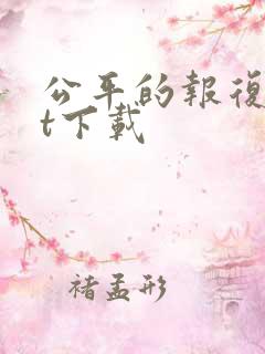 公平的报复txt下载